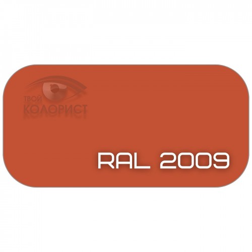 PALINAL 2К полиуретановая эмаль по коду RAL 2009