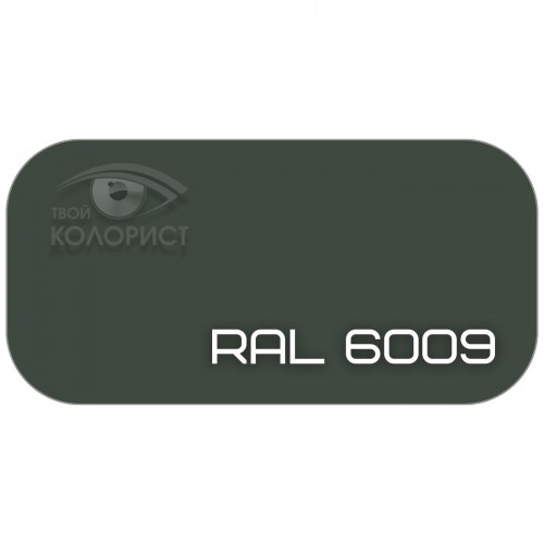 PALINAL 1К синтетическая DTM эмаль по коду RAL 6009, блеск 75%, 1 л