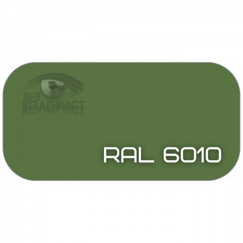 PALINAL 2К акрил-полиуретановая DTM эмаль по коду RAL 6010