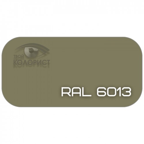 PALINAL 2К акрил-полиуретановая DTM эмаль по коду RAL 6013