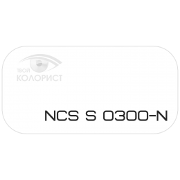 PALINAL 2К полиуретановая эмаль по коду NCS S 0300-N