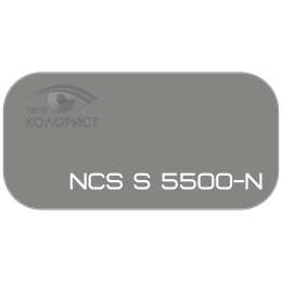 PALINAL 2К акрил-полиуретановая DTM эмаль по коду NCS S 5500-N