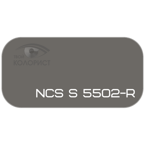 PALINAL 2К акрил-полиуретановая DTM эмаль по коду NCS S 5502-R