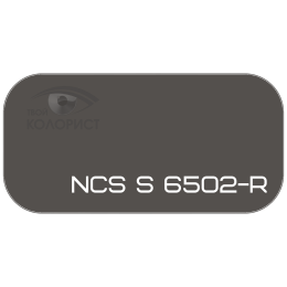 PALINAL 2К акрил-полиуретановая DTM эмаль по коду NCS S 6502-R