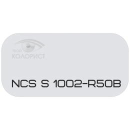 PALINAL 2К полиуретановая эмаль по коду NCS S 1002-R50B