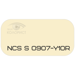 PALINAL 2К полиуретановая эмаль по коду NCS S 0907-Y10R