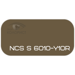 PALINAL 2К акрил-полиуретановая DTM эмаль по коду NCS S 6010-Y10R