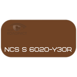 PALINAL 2К акрил-полиуретановая DTM эмаль по коду NCS S 6020-Y30R