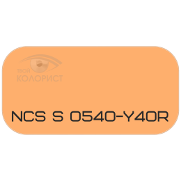 PALINAL 2К полиуретановая эмаль по коду NCS S 0540-Y40R