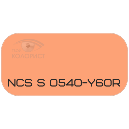 PALINAL 2К полиуретановая эмаль по коду NCS S 0540-Y60R