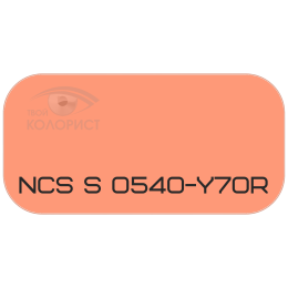 PALINAL 2К полиуретановая эмаль по коду NCS S 0540-Y70R