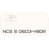 PALINAL 2К полиуретановая эмаль по коду NCS S 0603-Y80R