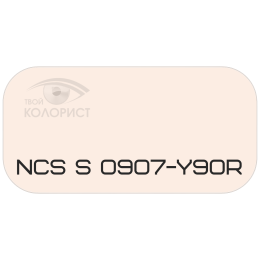 PALINAL 2К полиуретановая эмаль по коду NCS S 0907-Y90R