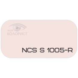 PALINAL 2К полиуретановая эмаль по коду NCS S 1005-R
