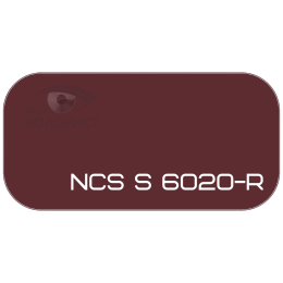 PALINAL 2К акрил-полиуретановая DTM эмаль по коду NCS S 6020-R