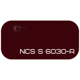 PALINAL 2К акрил-полиуретановая DTM эмаль по коду NCS S 6030-R