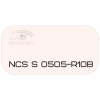 PALINAL 2К полиуретановая эмаль по коду NCS S 0505-R10B