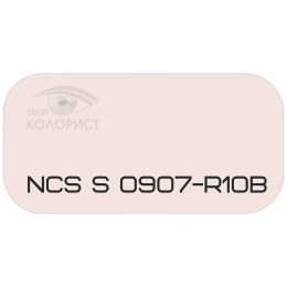 PALINAL 2К полиуретановая эмаль по коду NCS S 0907-R10B