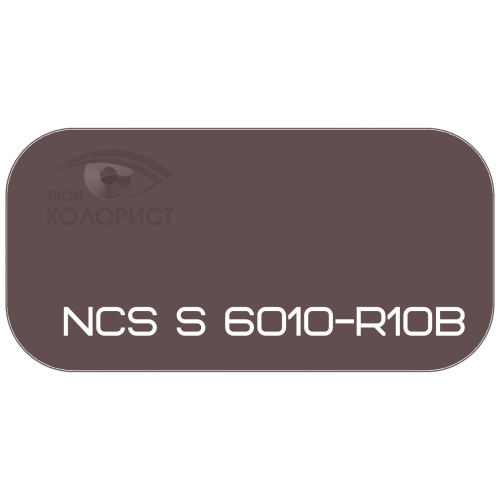 PALINAL 2К акрил-полиуретановая DTM эмаль по коду NCS S 6010-R10B