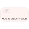 PALINAL 2К полиуретановая эмаль по коду NCS S 0507-R20B
