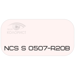 PALINAL 2К полиуретановая эмаль по коду NCS S 0507-R20B