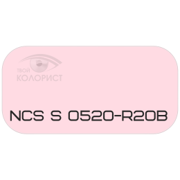 PALINAL 2К полиуретановая эмаль по коду NCS S 0520-R20B