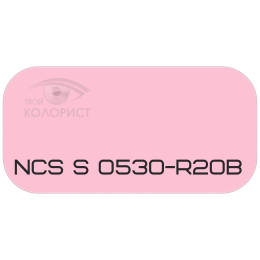 PALINAL 2К полиуретановая эмаль по коду NCS S 0530-R20B