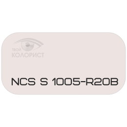 PALINAL 2К полиуретановая эмаль по коду NCS S 1005-R20B