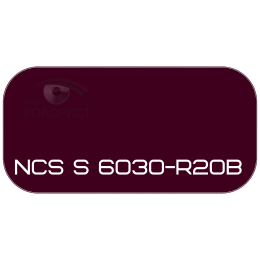 PALINAL 2К акрил-полиуретановая DTM эмаль по коду NCS S 6030-R20B