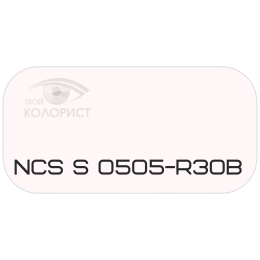 PALINAL 2К полиуретановая эмаль по коду NCS S 0505-R30B