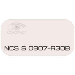 PALINAL 2К полиуретановая эмаль по коду NCS S 0907-R30B