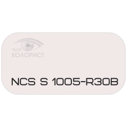 PALINAL 2К полиуретановая эмаль по коду NCS S 1005-R30B