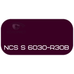 PALINAL 2К акрил-полиуретановая DTM эмаль по коду NCS S 6030-R30B