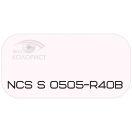 PALINAL 2К полиуретановая эмаль по коду NCS S 0505-R40B