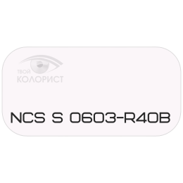 PALINAL 2К полиуретановая эмаль по коду NCS S 0603-R40B