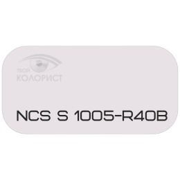 PALINAL 2К полиуретановая эмаль по коду NCS S 1005-R40B