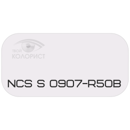 PALINAL 2К полиуретановая эмаль по коду NCS S 0907-R50B