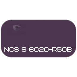 PALINAL 2К акрил-полиуретановая DTM эмаль по коду NCS S 6020-R50B