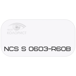 PALINAL 2К полиуретановая эмаль по коду NCS S 0603-R60B