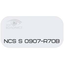 PALINAL 2К полиуретановая эмаль по коду NCS S 0907-R70B