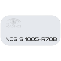 PALINAL 2К полиуретановая эмаль по коду NCS S 1005-R70B