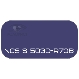 PALINAL 2К акрил-полиуретановая DTM эмаль по коду NCS S 5030-R70B