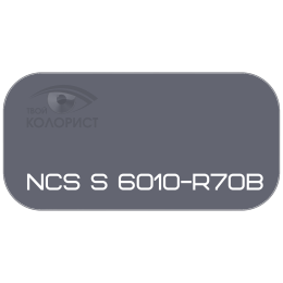 PALINAL 2К акрил-полиуретановая DTM эмаль по коду NCS S 6010-R70B