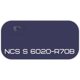 PALINAL 2К акрил-полиуретановая DTM эмаль по коду NCS S 6020-R70B