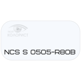 PALINAL 2К полиуретановая эмаль по коду NCS S 0505-R80B