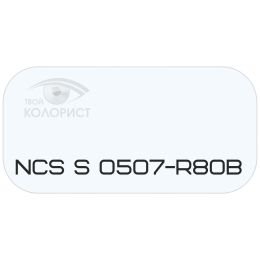 PALINAL 2К полиуретановая эмаль по коду NCS S 0507-R80B