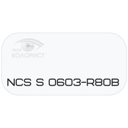 PALINAL 2К полиуретановая эмаль по коду NCS S 0603-R80B