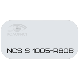 PALINAL 2К полиуретановая эмаль по коду NCS S 1005-R80B