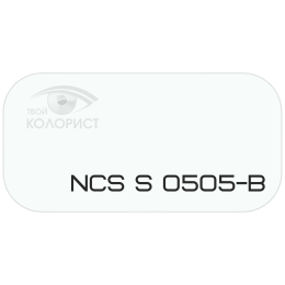 PALINAL 2К полиуретановая эмаль по коду NCS S 0505-B