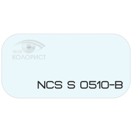 PALINAL 2К полиуретановая эмаль по коду NCS S 0510-B